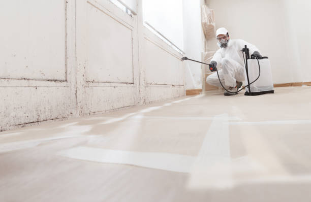24/7 Emergency Attic Mold Remediation experts in Oceanport, NJ